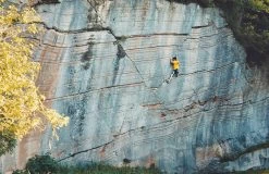 Grivel Logo T-shirt -Alpinismo in Italia LOGOT SHIRT LinkeHalbglocke7b Solo2 ToniEbner